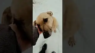 Маленькие итоги 