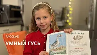 Рассказ «Умный гусь»
