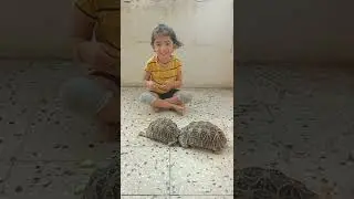 How cool CP kids are amazing #celebralpalsy #trending #viral #warriors #videos #baby #viralvideo