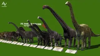 Dinosaur Size Comparison 3D - Smallest to Biggest