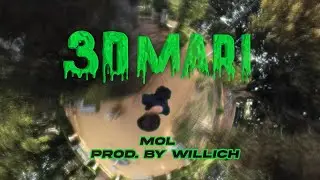 MOL, Willi.Ch - 3D Mari (Lyric Video)