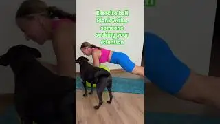 Exercise ball plank. #plank #homeworkout #exerciseball