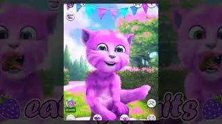My Talking Ginger Cat