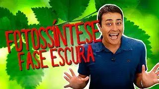 FOTOSSÍNTESE - FASE ESCURA (QUÍMICA) - Prof. Paulo Jubilut