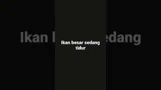 Ikan Merah Besar sedang tidur jangan di ganggu