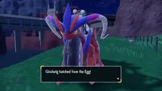 Koraidon what are you doing in my egg?!