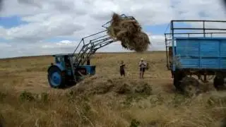 ТРАКТОР и СЕНО.