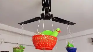 Fan experiment with basket swing | Crompton Super Briz High Speed Ceiling Fan ~ Downrod Mount