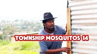 TOWNSHIP MOSQUITOS 14