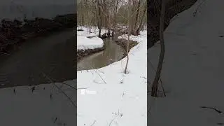 Small ship in the small river Кораблик в речушке