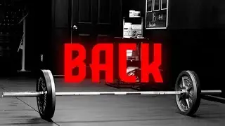 Top 10 Back Training Tips!