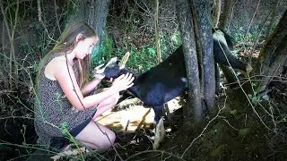 We Found Goat Hung In Tree - Can't Walk - Vet Coming ...again - (Farm / Homestead Life)