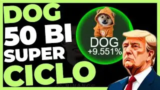 DOG GO TO THE MOON 50 BILHÕES NO SUPER CICLO?