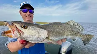 Wanna Catch Speckled Trout Right Now? Do This!