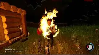The Forest Fire Meme