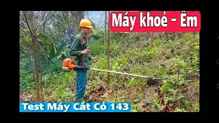 Test Máy Cắt Cỏ Kavi 143 Phát Cỏ Dùng Dao Cước Cực Khỏe