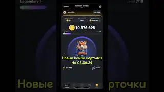 КАЧАЕМ ХОМЯКА ! ЛУЧШИЕ КАРТОЧУИ для БЫСТРАЯ ПРОКАЧКА в Hamster Kombat / Заработок в ХАМСТЕР КОМБАТ