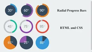 How To Make Circular Progress Bar Using HTML CSS