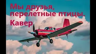 Песня Мы друзья перелетные птицы из к/ф Небесный тихоход. Кавер за рулём.