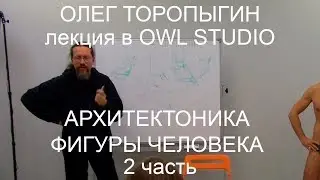 Архитектоника фигуры человека 2 часть