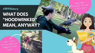 What does hoodwinked mean, anyway? (Part 1 of 2)