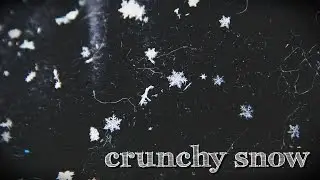 Crunchy Snow for Emily {ASMR}