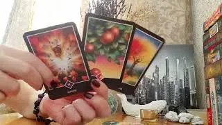 ИСТИННОЕ ЛИЦО И НАМЕРЕНИЯ ВАШЕГО ПАРТНЕРА ... НЕОЖИДАННО ! ДО КОНЦА !