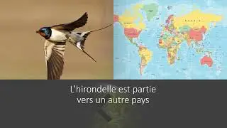L'automne est là || Chansons Automne 🍂  || Paroles et illustrations
