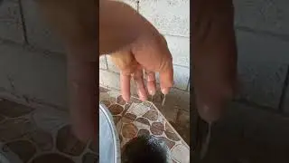 Zamonaviy va qulay oʻchogʻla