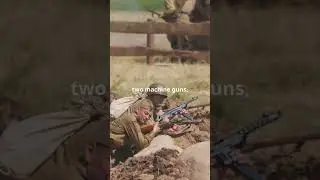 The Great Emu War: Australia's Most Humiliating Defeat