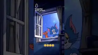 Tom and Jerry the like
