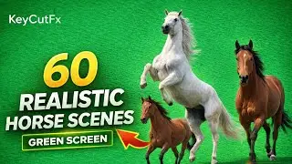 60 Realistic Horse Green Screen Scenes - 4K 