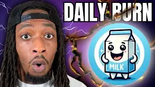 Meme Coin On Solana Doing Daily Burns To 100M