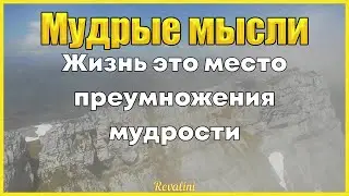 Мудрые мысли | Цитаты великих людей