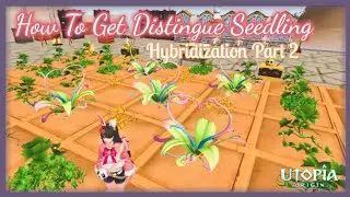 How To Get Distingue Seedling | Utopia Origin | Hybridization Part 2