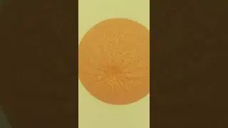 Animated video with Blender