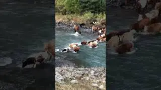 Красота Цахурской Долины