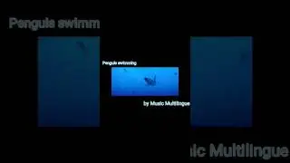 Happy Feet: The Penguin - Song's (Part 5) #happyfeet #penguin #music #song #movie
