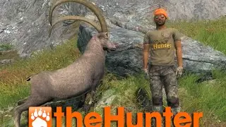 the Hunter - Alpine ibex hunting 2016