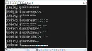 RAC Database Vs RAC Instance Maintenance