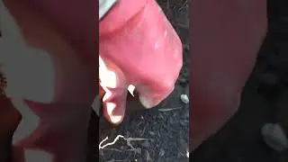 металлокоп на  бывшей МТФ