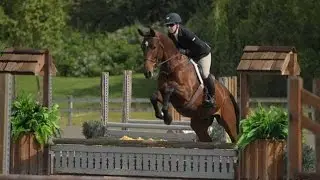 Cormorant (Cormint x Alexis Z) 2012 Holsteiner Young Hunter Development