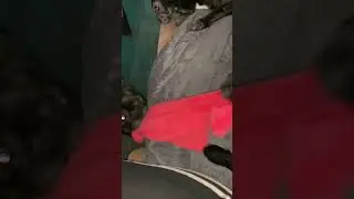 Боремся-кто сегодня убираться будет🐶 
