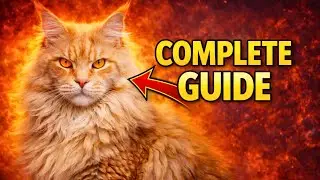 MAINE COON 101 - Ultimate Guide 2024