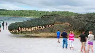10 Largest Crocodiles In The World