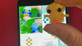 Вторая часть видео. Попугайчик из бисера амигуруми