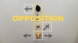 Opposition | Chess Endgames