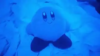 Kirby enjoying the light show