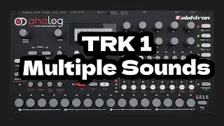 Elektron Analog 4  - Multiple sounds on one Trk