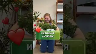 Пишите в комментариях, какое растение ваше самое любимое? 🧐 